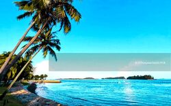 Ocean Drive (D4), Detached #582387711